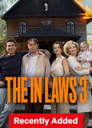 The in Laws 3 poster